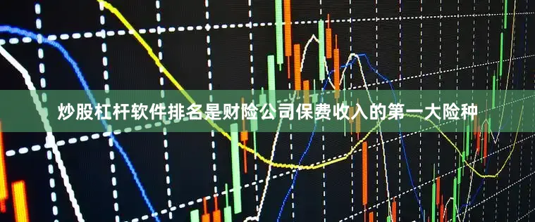 炒股杠杆软件排名是财险公司保费收入的第一大险种