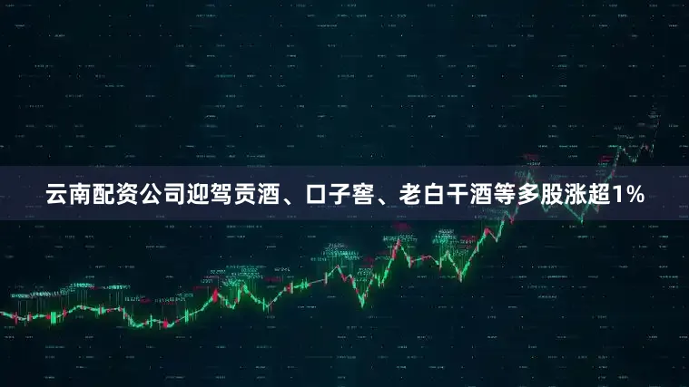 云南配资公司迎驾贡酒、口子窖、老白干酒等多股涨超1%