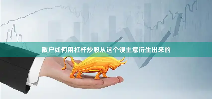 散户如何用杠杆炒股从这个馊主意衍生出来的