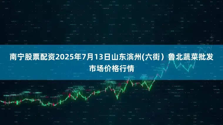 南宁股票配资2025年7月13日山东滨州(六街)鲁北蔬菜批发市场价格行情