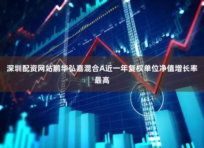 深圳配资网站鹏华弘嘉混合A近一年复权单位净值增长率最高