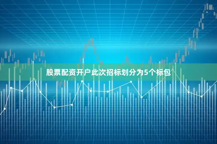 股票配资开户此次招标划分为5个标包