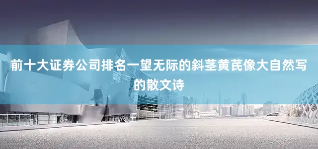 前十大证券公司排名一望无际的斜茎黄芪像大自然写的散文诗