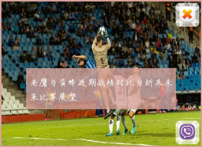 老鹰与黄蜂近期战绩对比分析及未来比赛展望