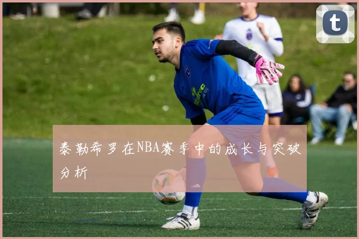 泰勒希罗在NBA赛季中的成长与突破分析