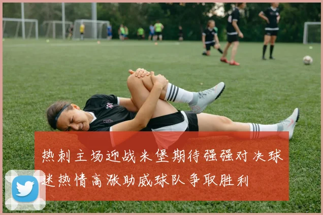 热刺主场迎战米堡期待强强对决球迷热情高涨助威球队争取胜利