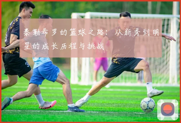 泰勒希罗的篮球之路：从新秀到明星的成长历程与挑战