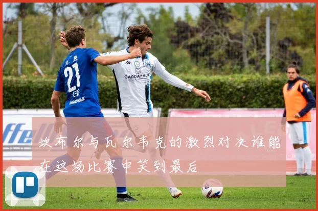 坎布尔与瓦尔韦克的激烈对决谁能在这场比赛中笑到最后