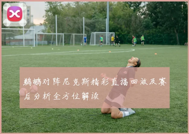 鹈鹕对阵尼克斯精彩直播回放及赛后分析全方位解读