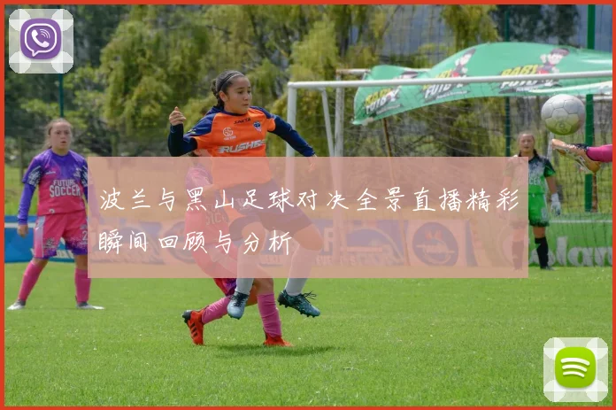 波兰与黑山足球对决全景直播精彩瞬间回顾与分析
