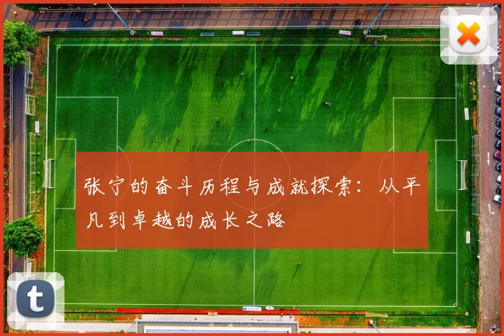 张宁的奋斗历程与成就探索：从平凡到卓越的成长之路