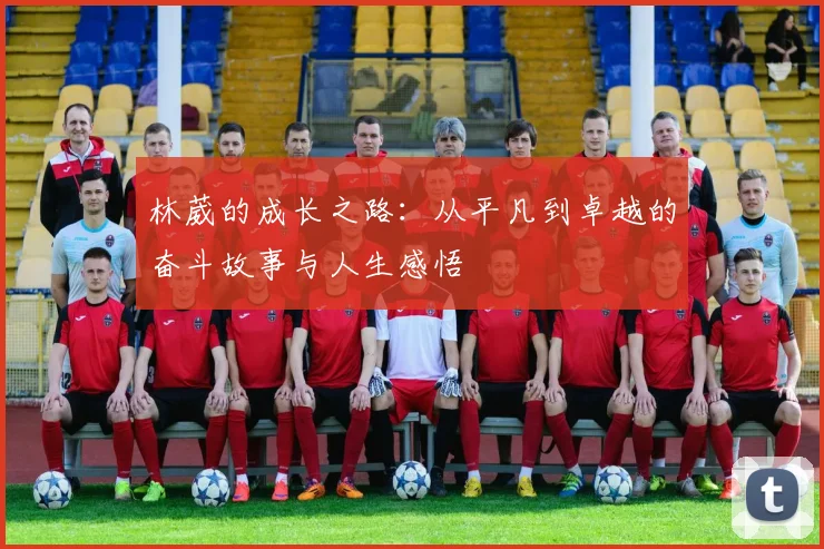 林葳的成长之路：从平凡到卓越的奋斗故事与人生感悟
