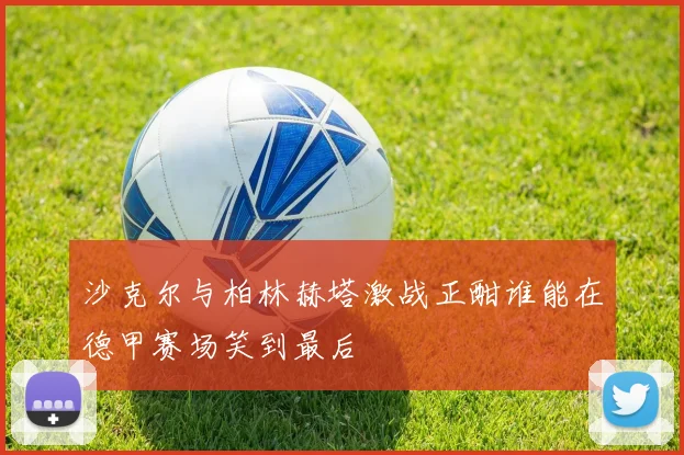 沙克尔与柏林赫塔激战正酣谁能在德甲赛场笑到最后