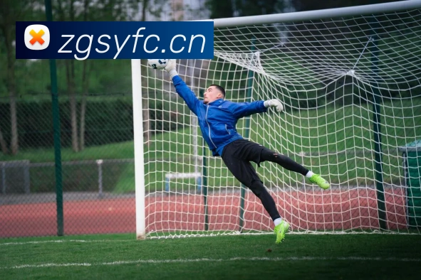 九游体育平台生态图